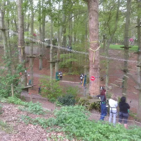 Woody Park